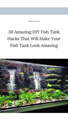 a fish tank filled with plants and water next to the words, 30 amazing diy fish tanks hacks that will make your fish look amazing