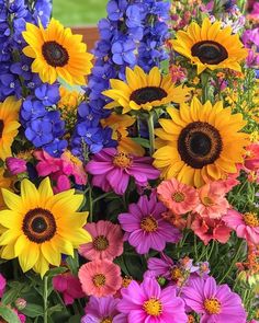 a bunch of flowers that are in some kind of planter with purple, yellow and red flowers