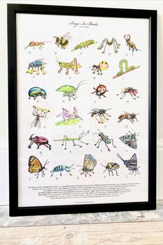 an insect poster hanging on the wall next to a wooden table with a black frame