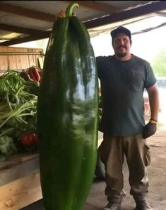 a man standing next to a giant green pepper in front of some veggies