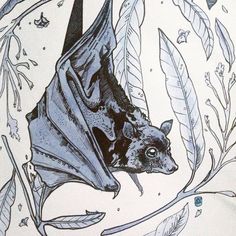 a drawing of a bat hanging upside down