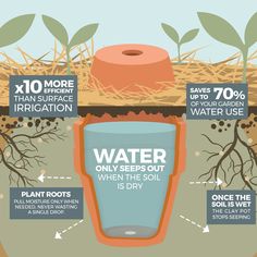 an info poster explaining how water is used to grow plants and other things in the ground