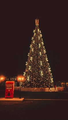 a large christmas tree lit up at night