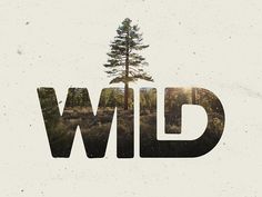 the word wild is made up of trees and grass in front of a white background