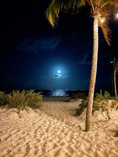 a palm tree on the beach at night with full moon and clouds in the sky