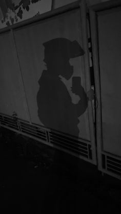 the shadow of a person standing in front of a train car with its door open