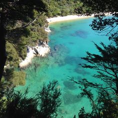 clear blue water surrounded by trees and cliffs