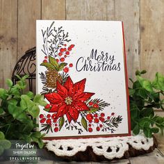 a christmas card with poinsettis and pine cones on it next to some greenery