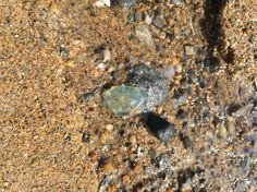 Seaglass I found Massachusetts Salisbury Beach, Salisbury, Druzy Ring, Sea Glass, Massachusetts, Druzy