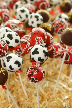 chocolate cake pops decorated with red and black polka dot designs on sticks in straw bales