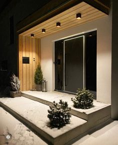 two plants are sitting on the steps outside in the snow at night, with light coming from above them