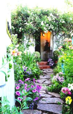 a garden with lots of flowers and greenery