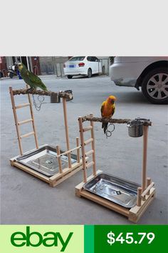 two birds sitting on top of metal trays