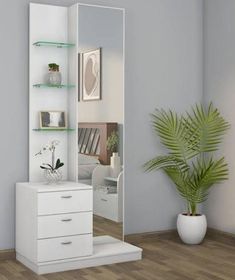 a room with a mirror, shelves and a potted plant on the floor in front of it