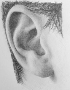 a pencil drawing of a man's ear