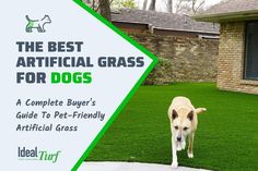 the best artificial grass for dogs complete buyer's guide to pet - friendly artificial grass