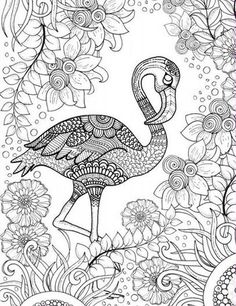 an adult coloring book with flowers and birds on it, in the middle of a page