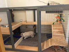 a cat in a cage on the floor next to a sink and counter top area