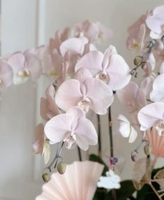 pink and white flowers are in a vase on a table with a mirror behind them