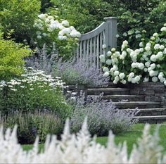 an outdoor garden with white flowers and stairs leading up to the top of some bushes