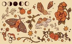 an image of birds and flowers on a beige background with stars, leaves, and berries