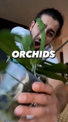 a man holding a plant with the words orchids in front of him and an open mouth