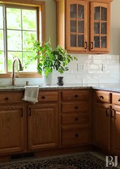 a kitchen with wooden cabinets and white tile backsplash, potted plant on the counter