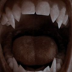 the mouth of an animal with sharp teeth