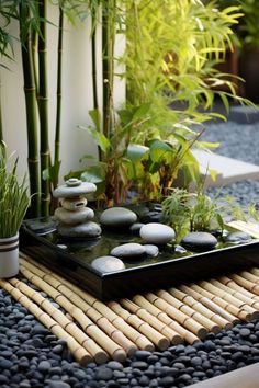 there is a tray with rocks and plants on the ground in front of bamboo trees