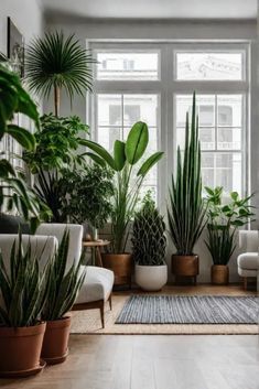 a living room filled with lots of plants and potted plants in front of a window