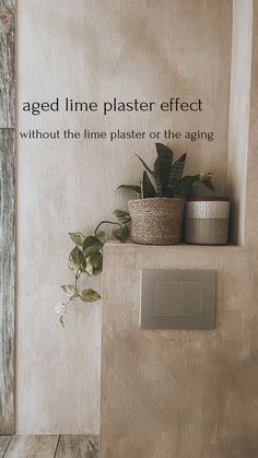 a plant is sitting on top of a wall with the words aged line plaster effect