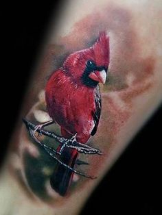 a red bird sitting on top of a tree branch with barbed wire around it's legs