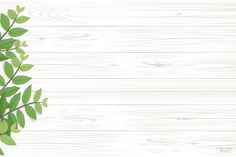 green leaves on white wood background with space for text or image, flat lay style