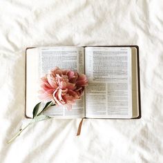 an open book with a flower on it sitting on top of a white bed sheet