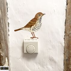 a bird is sitting on top of a light switch