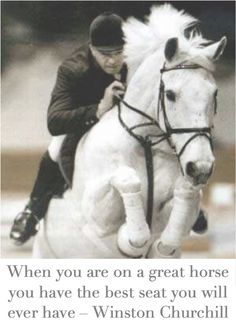 a man riding on the back of a white horse while jumping over an obstacle course