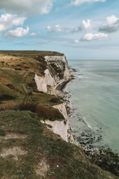 the cliffs are white and green along the water