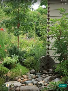 a garden with rocks and plants around it