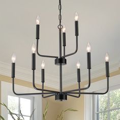 a black chandelier hanging from the ceiling in a room with windows and potted plants