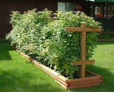 a wooden planter in the middle of a lawn