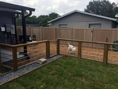 a fenced in yard with a dog on the grass and a hose attached to it