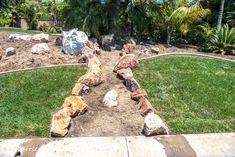 a garden with rocks and grass in the foreground, surrounded by palm trees on either side