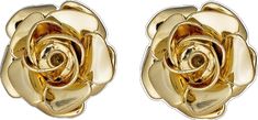 Queen Of Roses, Roses Crown, Field Of Roses, Roses, Crown, Stud Earrings, Queen, Collage, Chain