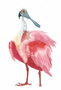 a watercolor painting of a pink and white bird with a long beak, standing on one leg