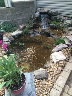 a small pond surrounded by rocks and flowers