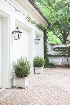 two potted plants sitting on the side of a brick walkway next to a white building