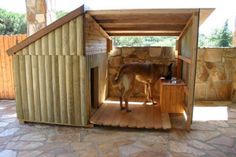 a dog is standing in the open door of a small wooden shed that's made out of wood planks