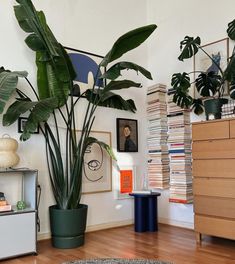 a living room filled with lots of plants and books on the wall next to a dresser