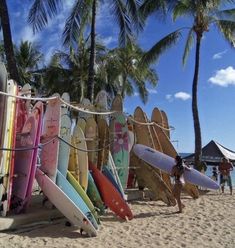 several surfboards are lined up on the beach with people walking by them and palm trees in the background