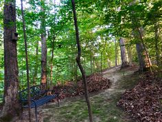 a blue bench sitting in the middle of a forest